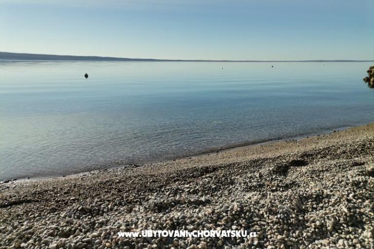 Apartamenty Bosi i Goli – foto 16