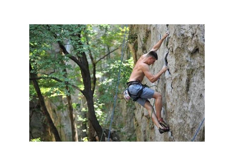 Apartamenty koko-seline – foto 9