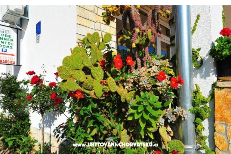 Apartamenty Bernardica – foto 10