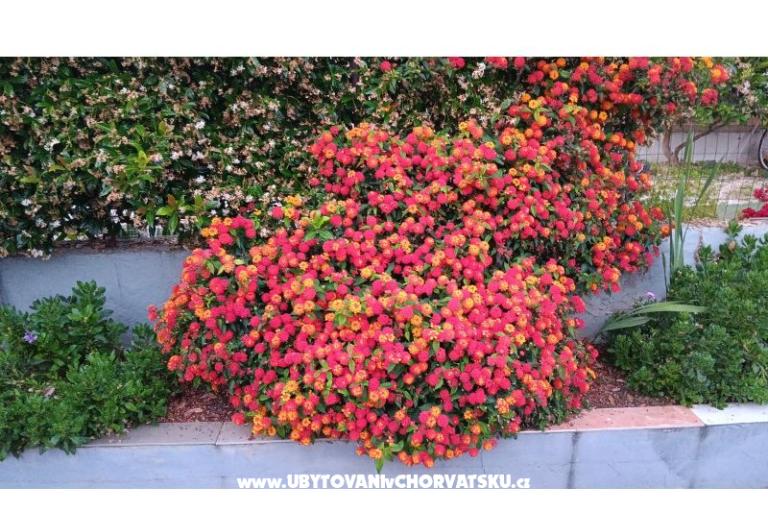 Apartamenty Filip – foto 18