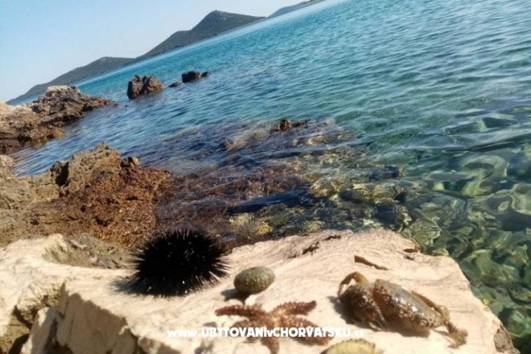 Apartamenty Nakić – foto 22