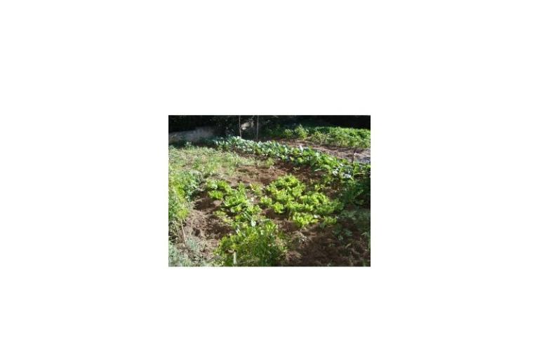 Apartamenty Rosan Pakostane – foto 15