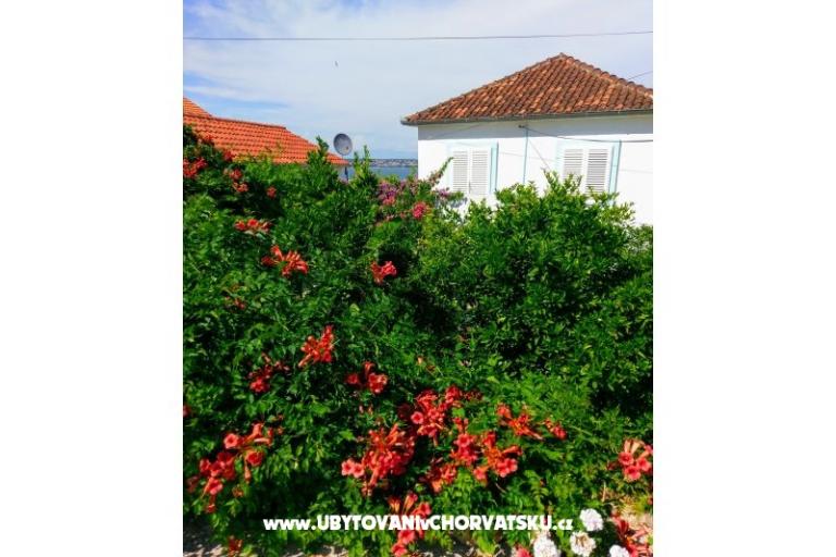 Apartamenty Marija-Tkon – foto 12