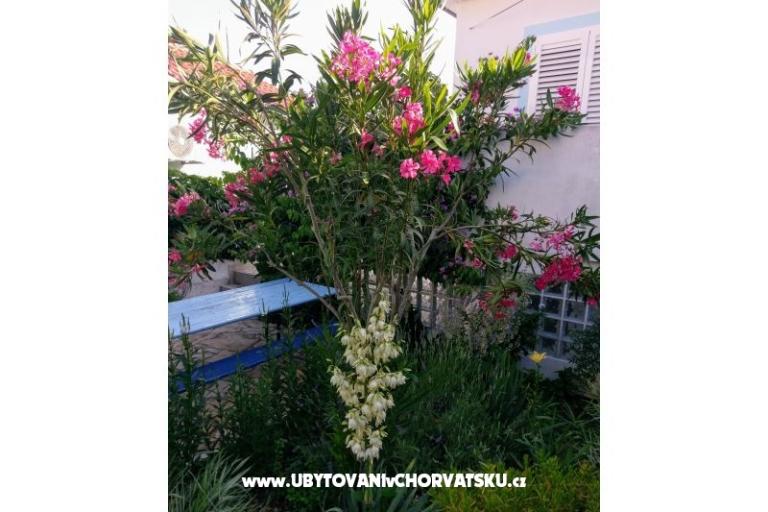 Apartamenty Marija-Tkon – foto 3