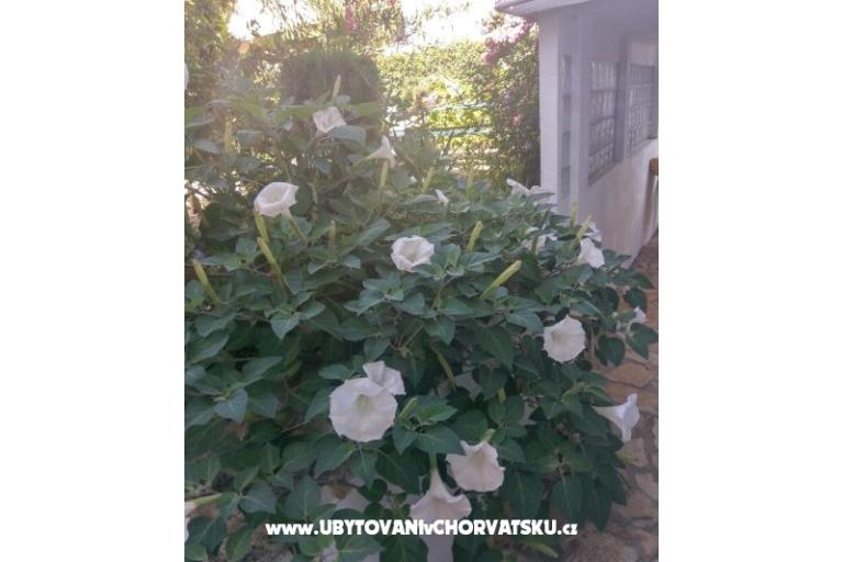 Apartamenty Marija-Tkon – foto 6