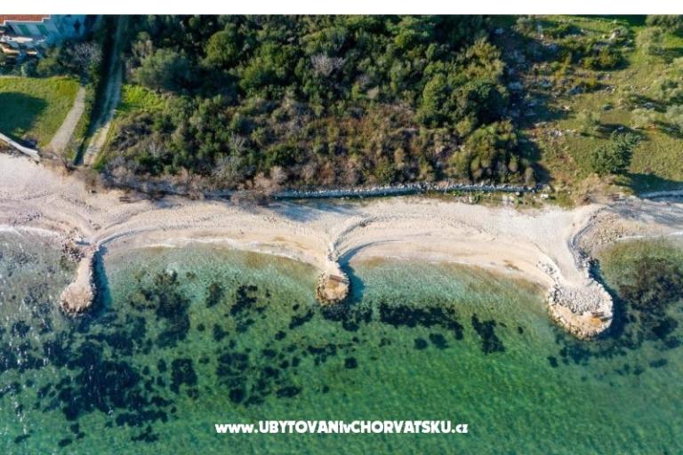 Orchid Stay – foto 7