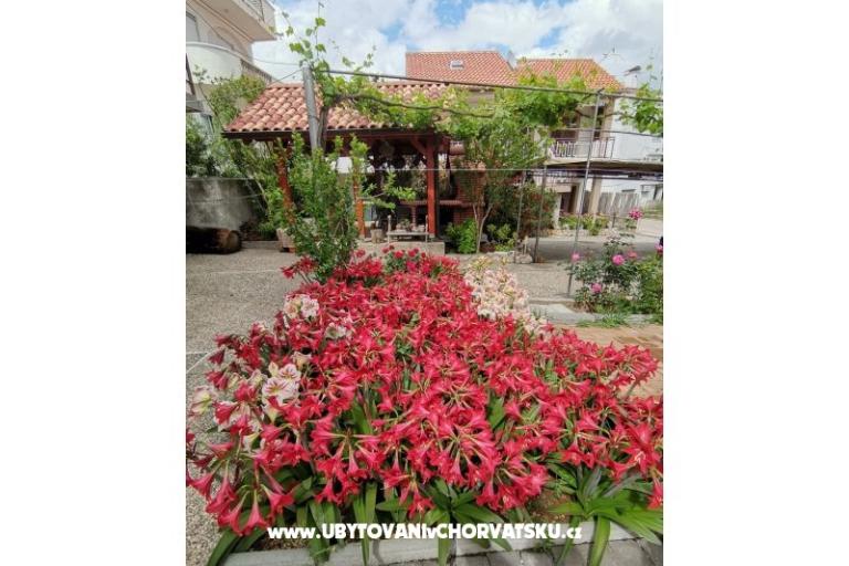 Apartamenty Ivan  – foto 14