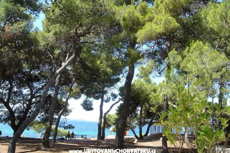 Apartamenty Ivan  – foto 2