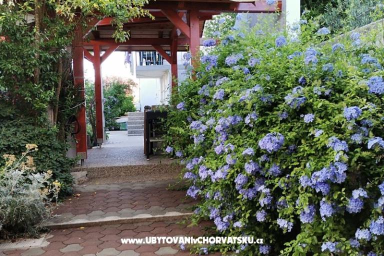 Apartamenty Ivan  – foto 6