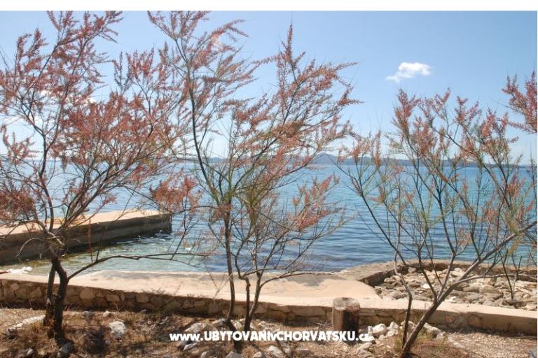 Vila Emila – foto 12