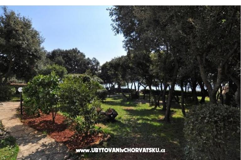 Vila Emila – foto 16