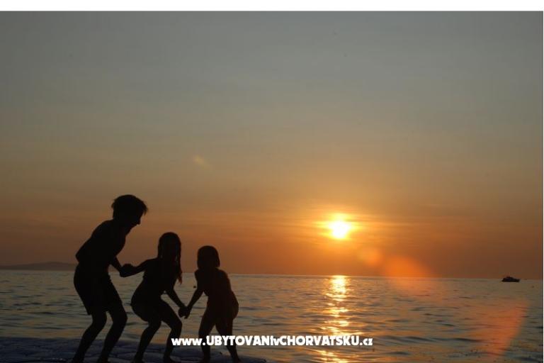 Vila Emila – foto 18