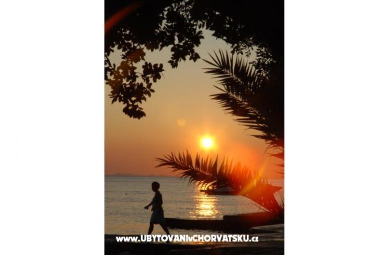 Vila Emila – foto 8