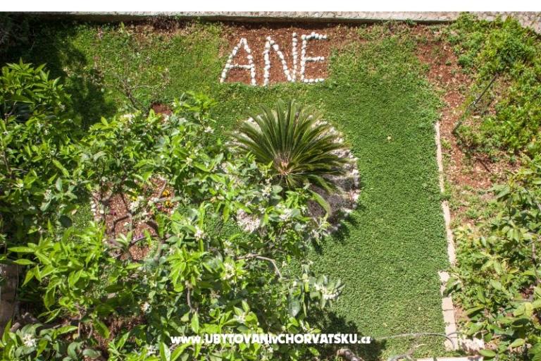 Apartamenty Ane – foto 8