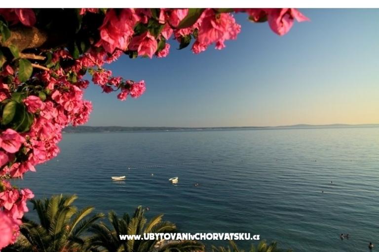 Apartamenty Palme – foto 11