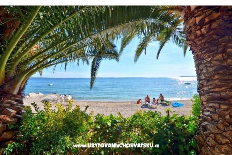 Apartamenty Palme – foto 4