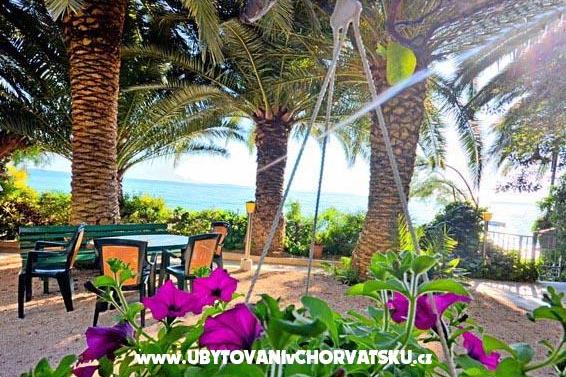 Apartamenty Palme – foto 9