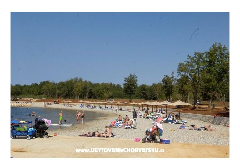 Apartamenty Milokanović – foto 14