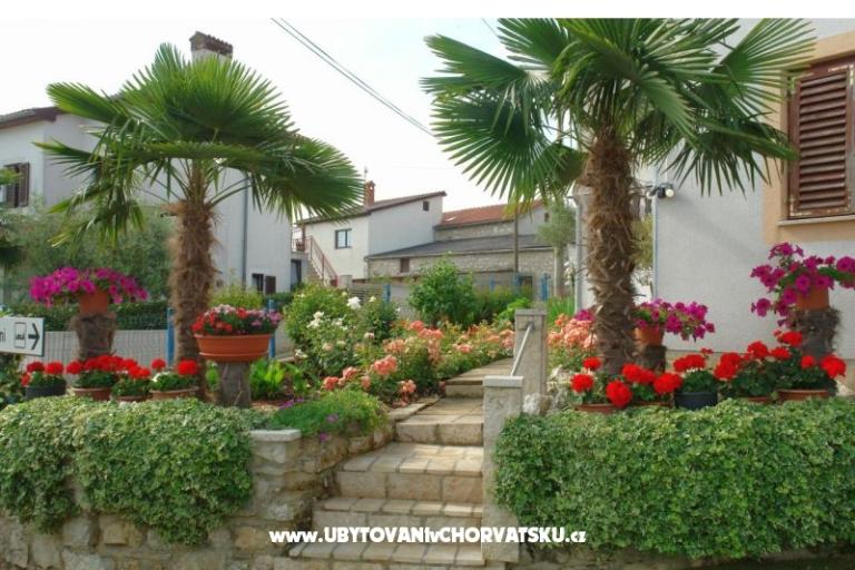 Apartamenty Milokanović – foto 4