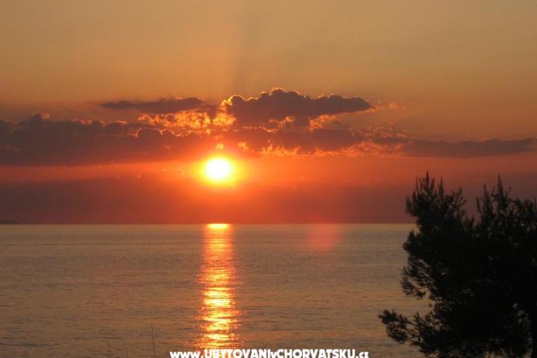 Apartamenty  Providenca – foto 14