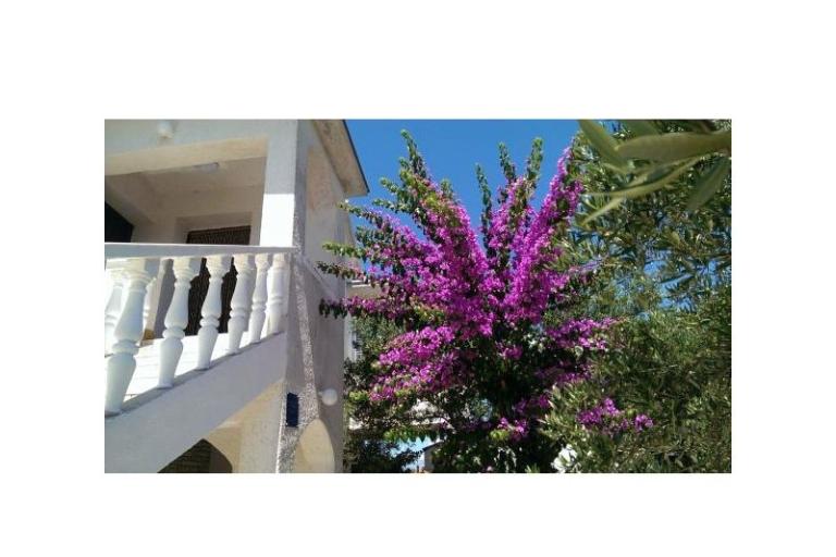 Apartamenty Šime – foto 14