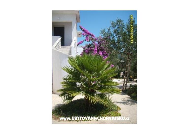 Apartamenty Šime – foto 5