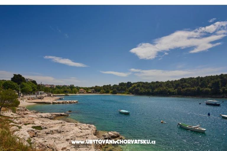 Apartament Sandra – foto 13