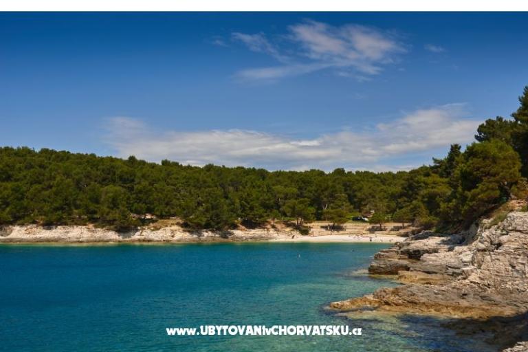 Apartament Sandra – foto 14