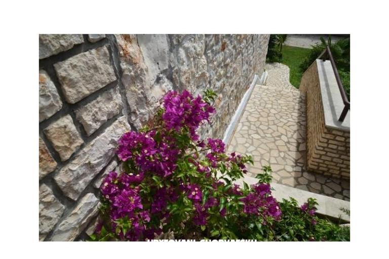 Apartament Sandra – foto 4