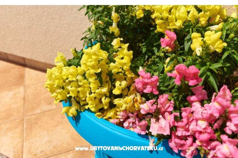 Apartament Sandra – foto 5