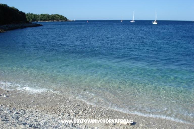 Apartamenty Villa Vanda – foto 16