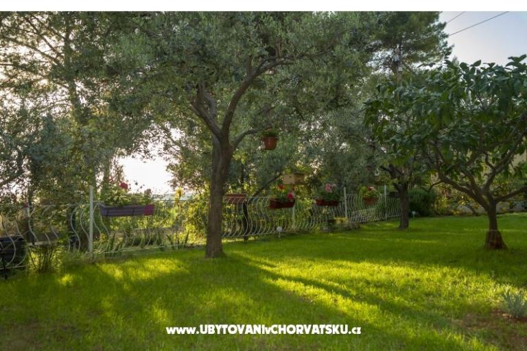 Apartament Petra – foto 5