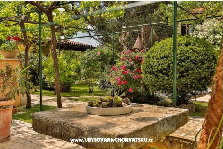 Villa Smrikve  – foto 10