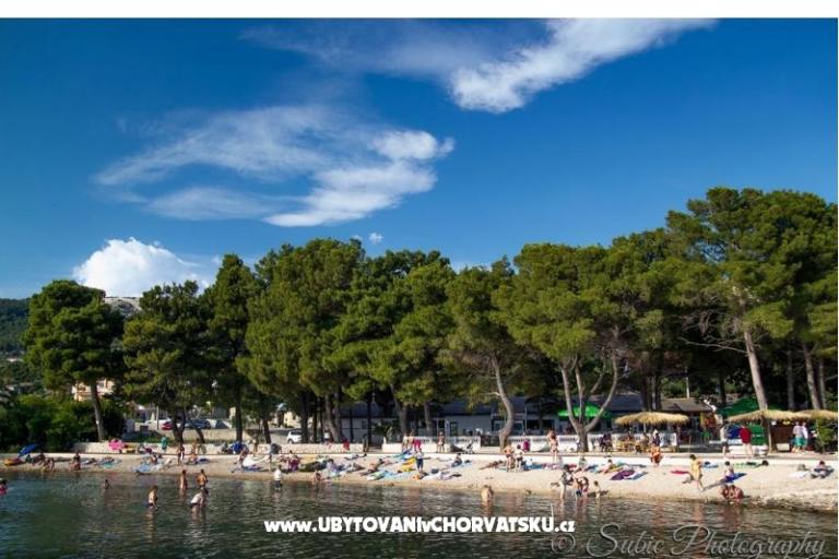 Apartamenty Batifogo – foto 8