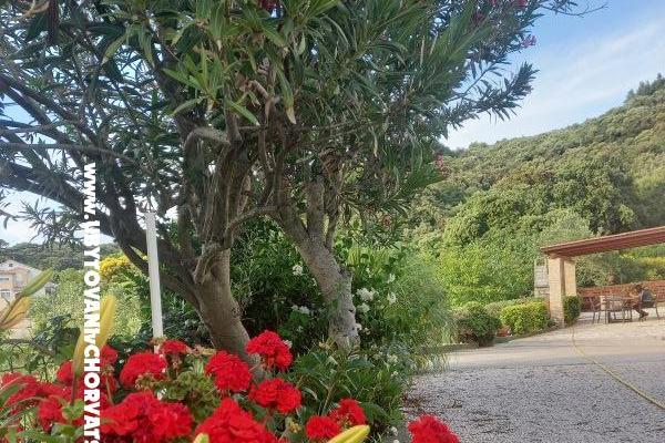 Apartamenty Danijela – foto 4