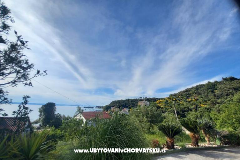 Apartamenty Danijela – foto 7