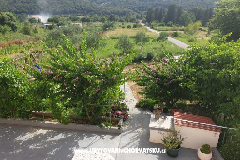 Apartamenty Lupić – foto 17