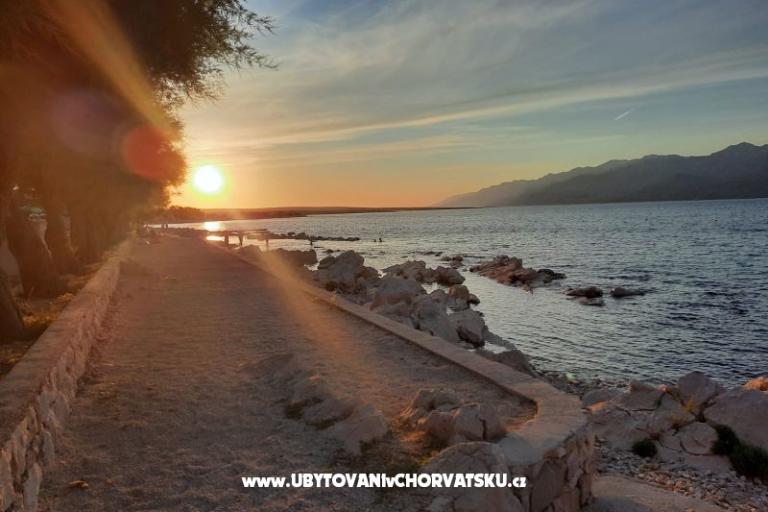 Apartamenty FLOBI – foto 8