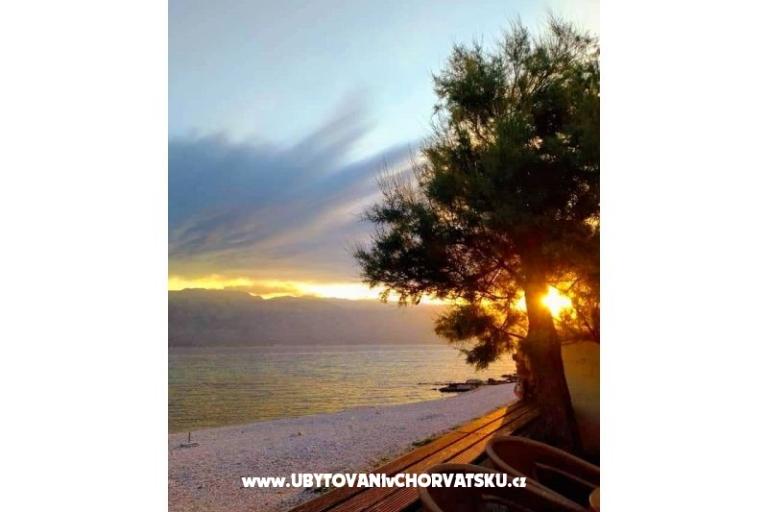 Apartamenty Maestro – foto 21