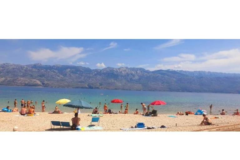 Apartamenty Maestro – foto 22