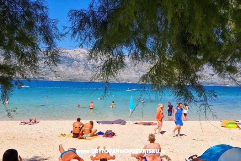 Apartamenty Maestro – foto 23