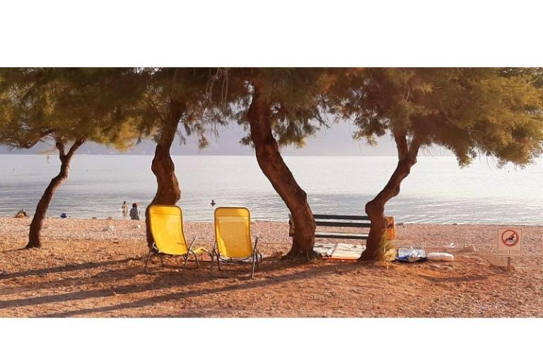 Apartamenty Maestro – foto 24