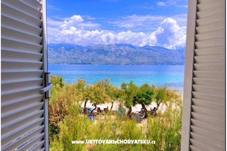 Apartamenty Maestro – foto 4