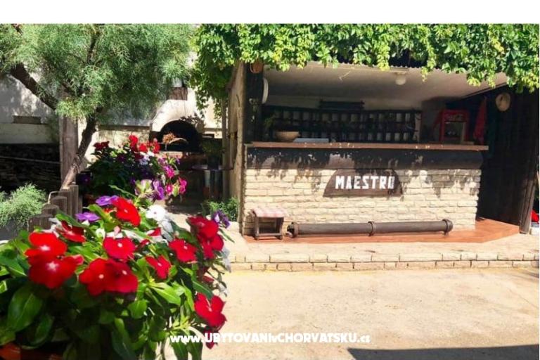 Apartamenty Maestro – foto 6