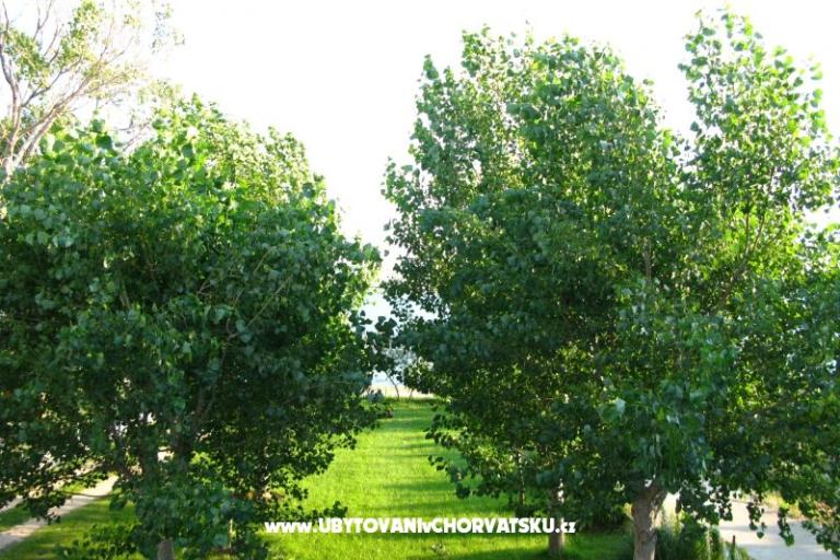 Villa Bibinka Ljubač – foto 12