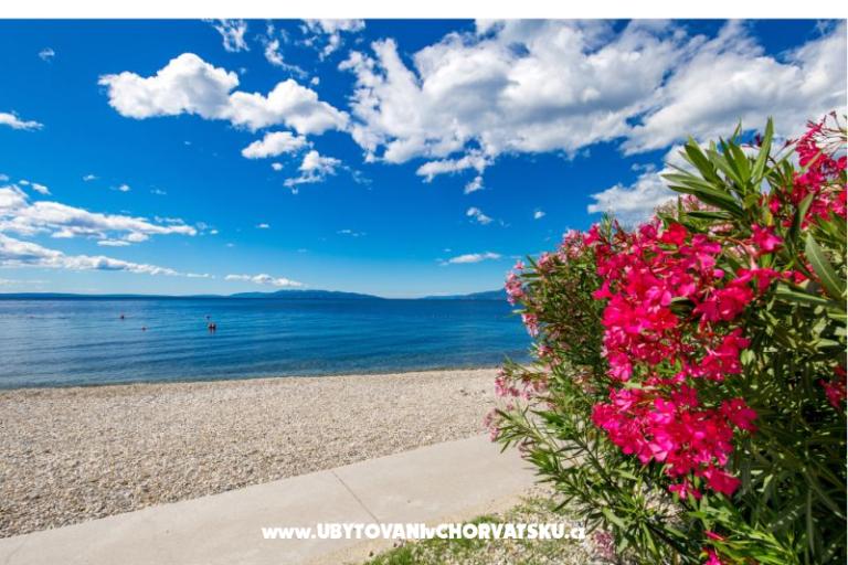 Apartament Villa Maria – foto 12