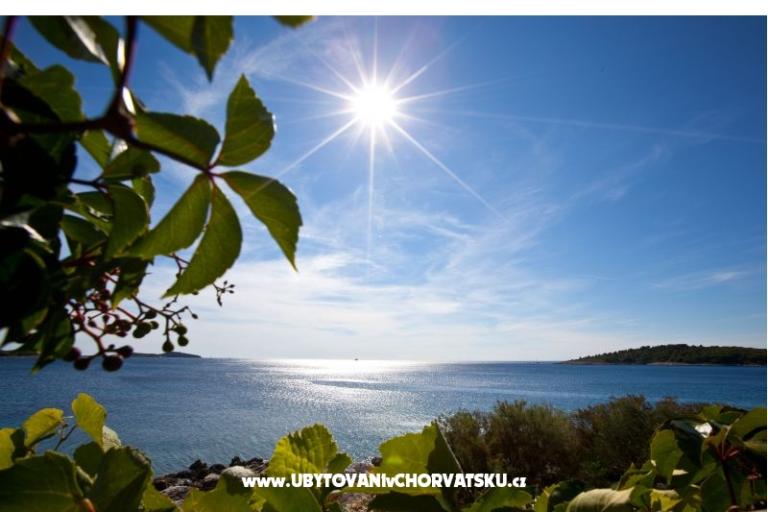 Apartamenty Holiday – foto 8