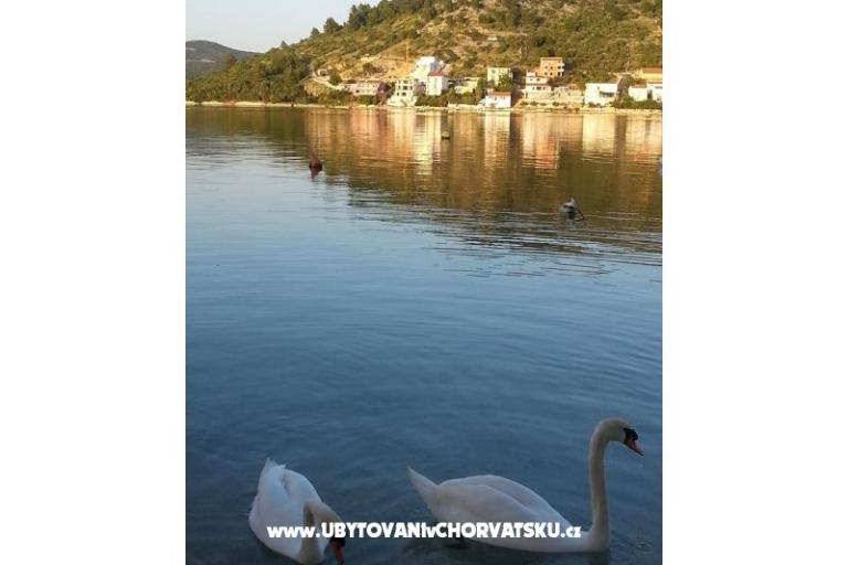 Apartamenty Captain`s house – foto 18