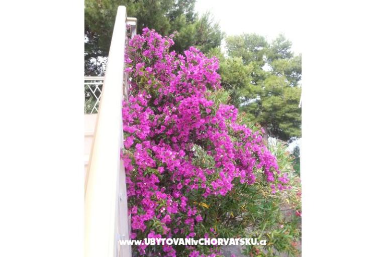 Dom wakacyjny Milenka – foto 26