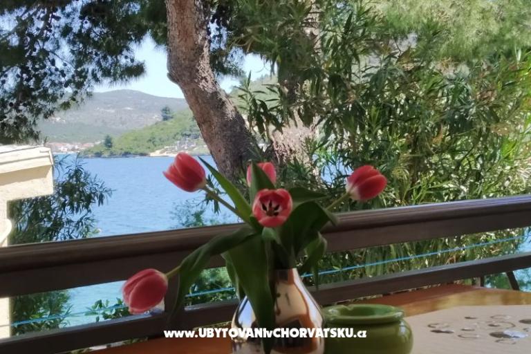 Dom wakacyjny Milenka – foto 3